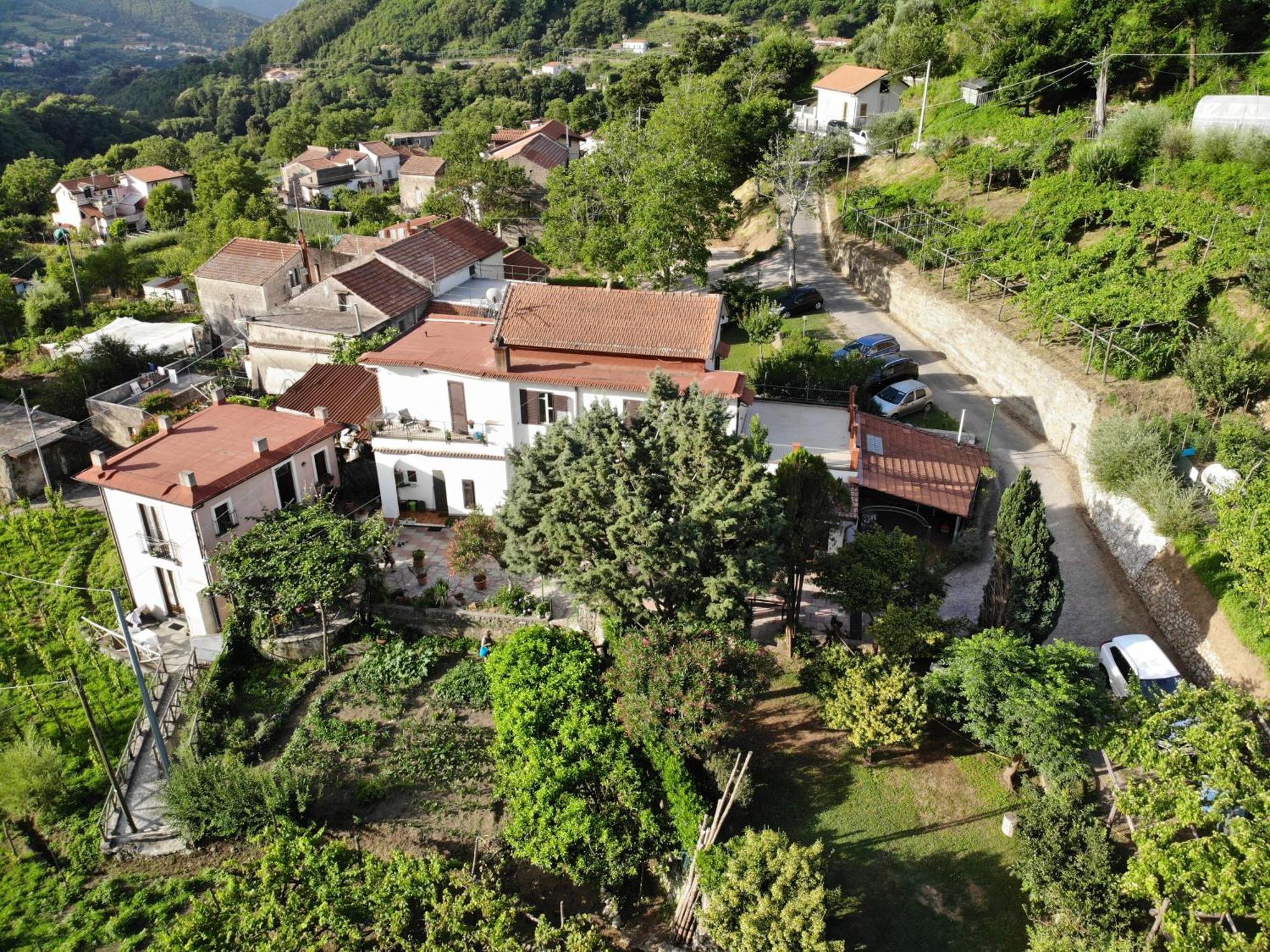 Agriturismo Mare E Monti Tramonti Bagian luar foto