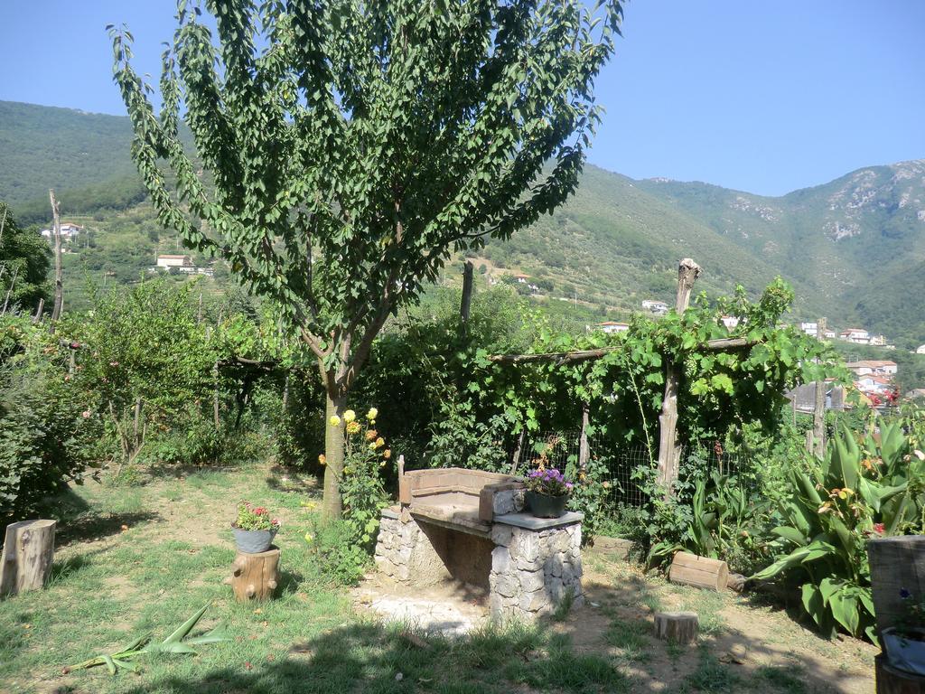 Agriturismo Mare E Monti Tramonti Bagian luar foto