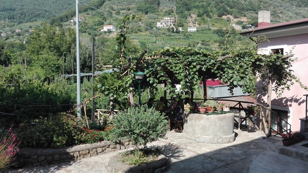 Agriturismo Mare E Monti Tramonti Bagian luar foto