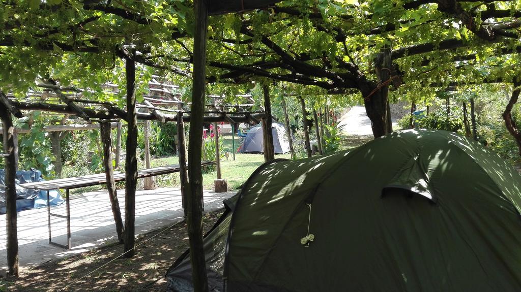 Agriturismo Mare E Monti Tramonti Bagian luar foto