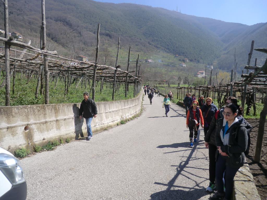 Agriturismo Mare E Monti Tramonti Bagian luar foto