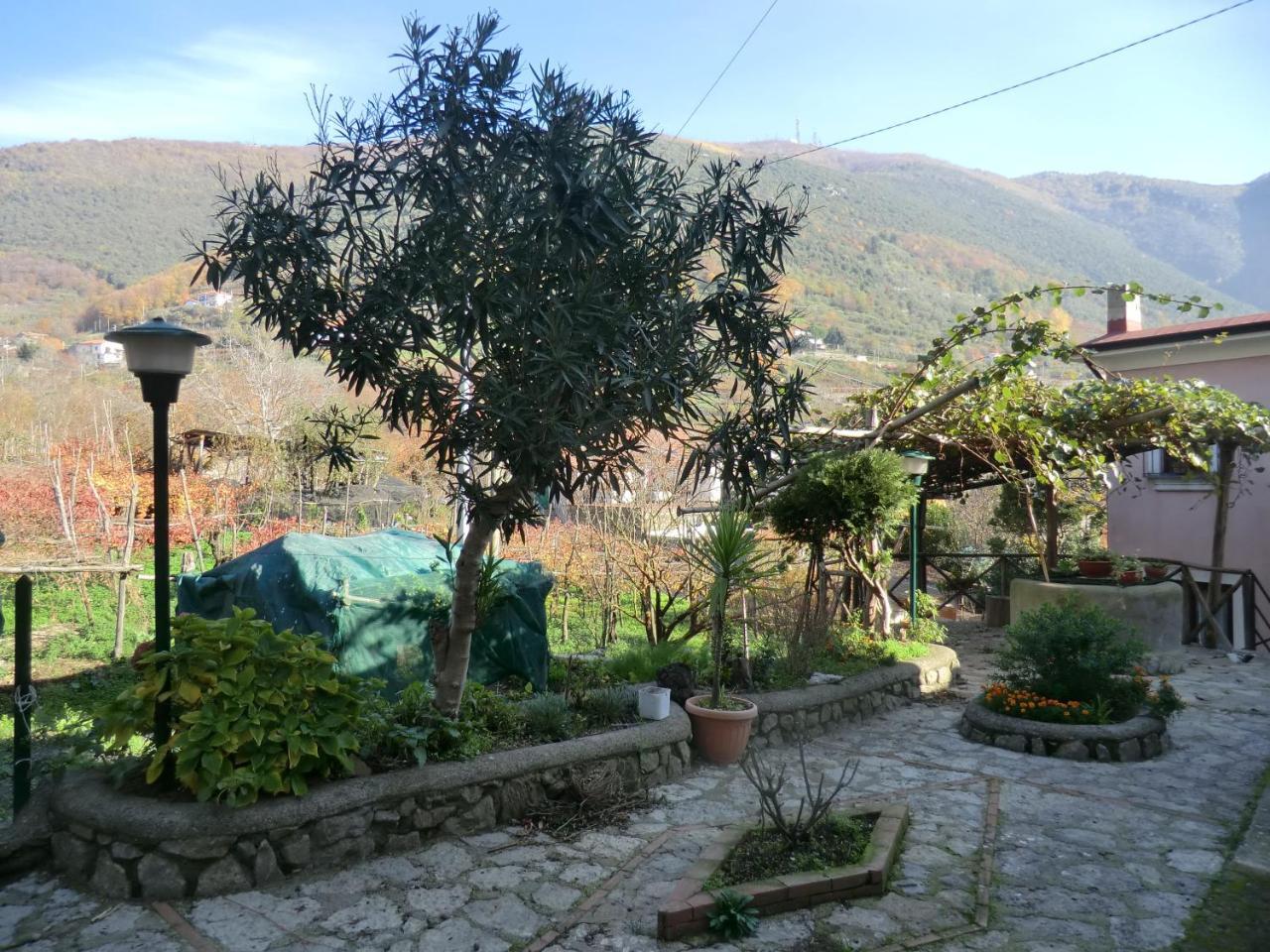 Agriturismo Mare E Monti Tramonti Bagian luar foto